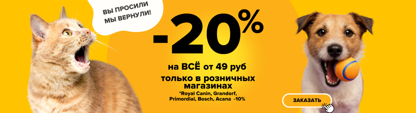 -20 по пятницам